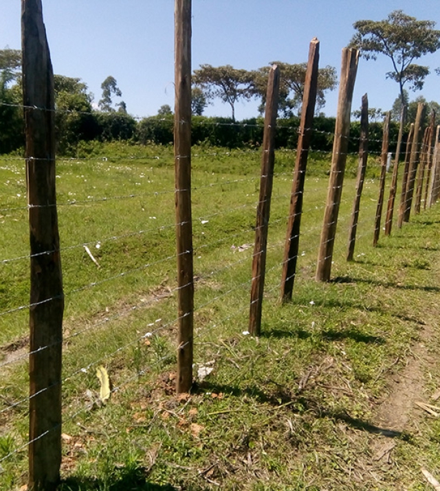 /images/estate/land/bomet10km/thumbs/1_640x715.jpg